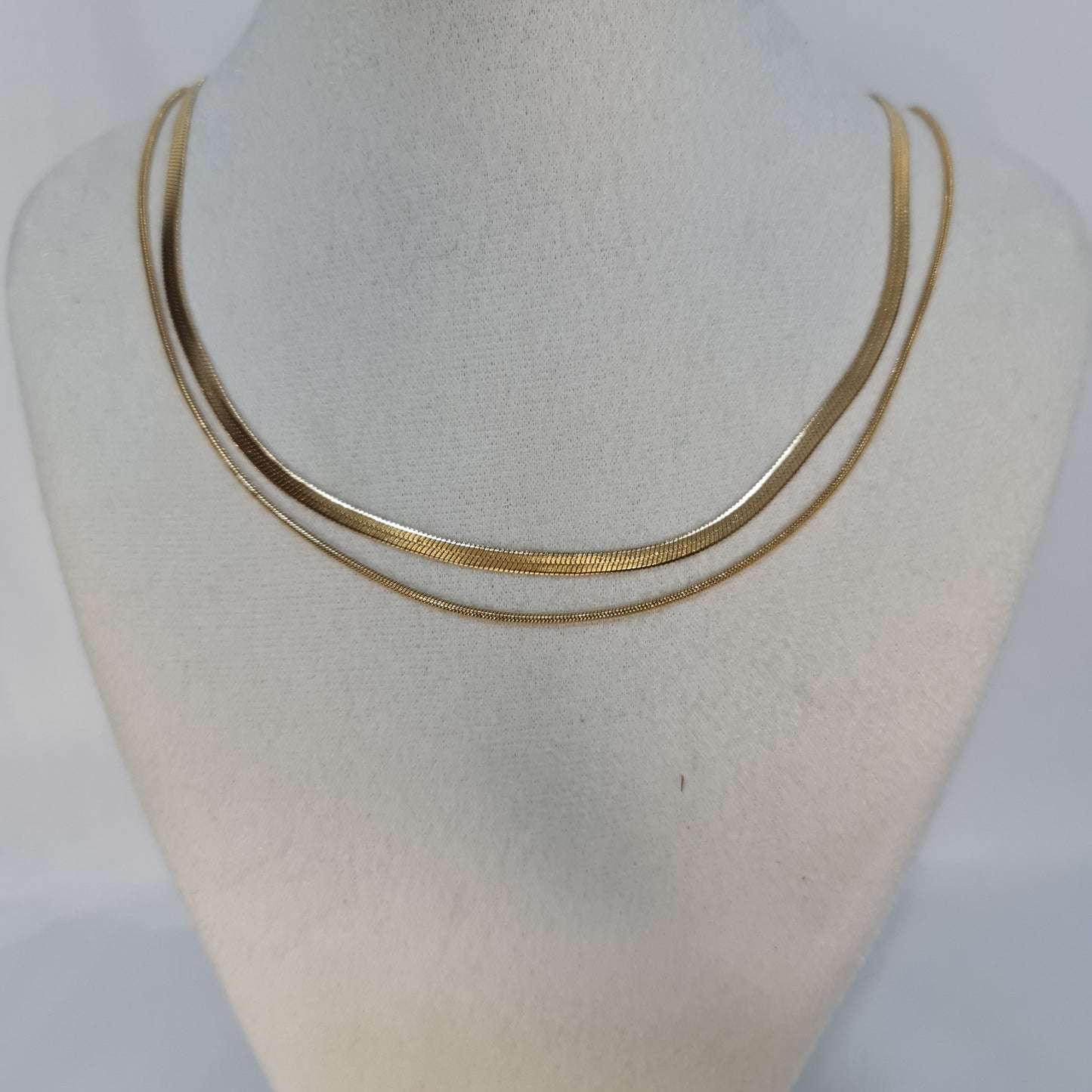 LIVIA || Collar layer snake